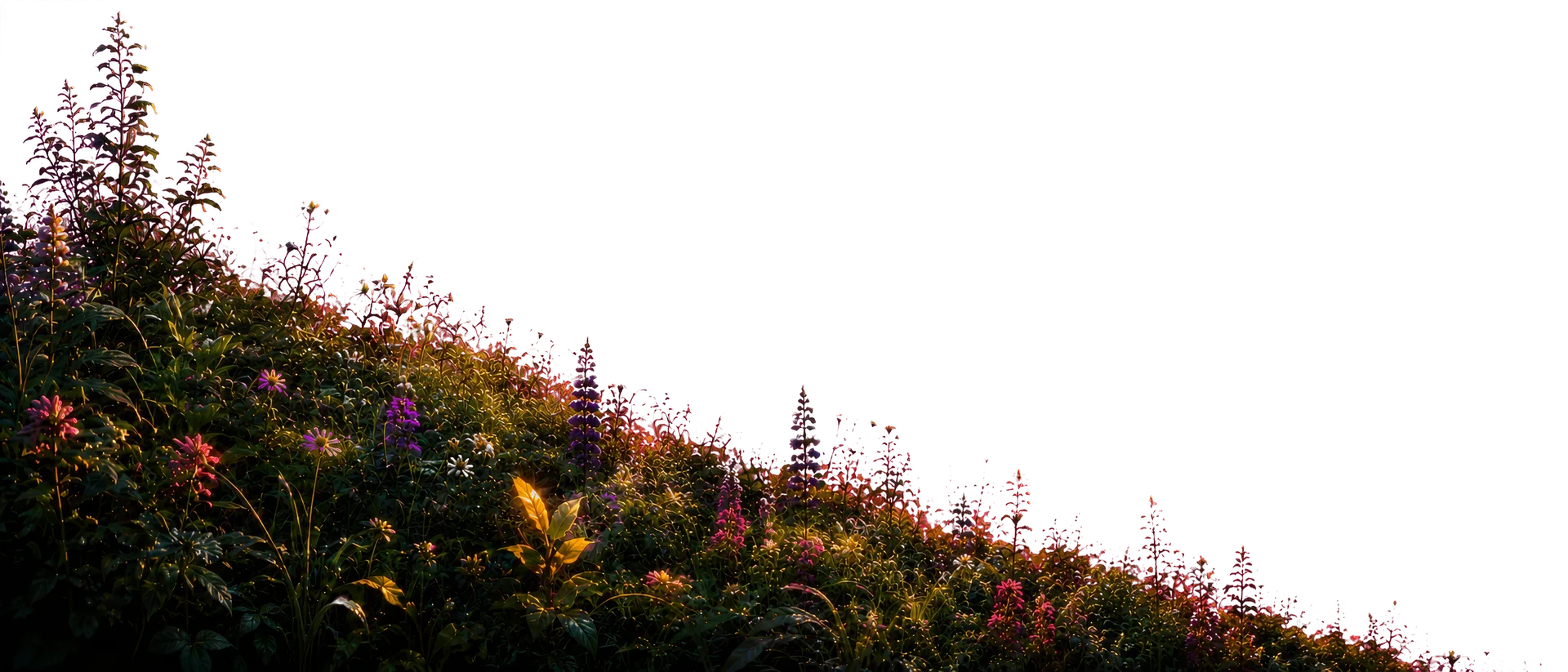 Foreground plants in the Fair Impact landscape