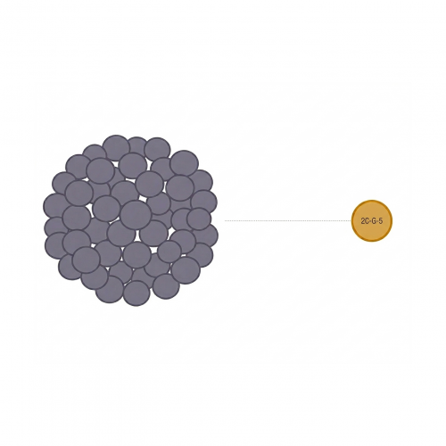 2C-G-5 Schematic depiction